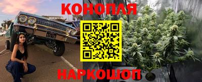 дурь Гатчина