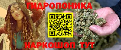 дурь Гатчина