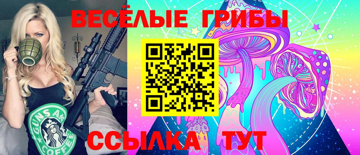 Псилоцибиновые грибы Psilocybine cubensis Заринск